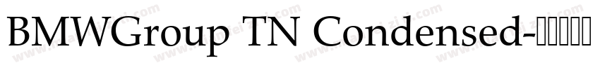 BMWGroup TN Condensed字体转换